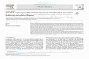 Detection of structural abnormalities of cortical and subcortical gray matter in patients with MRI-negative refractory epilepsy using neurite orientation dispersion and density imaging